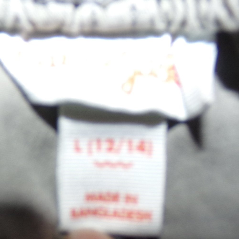 Cat and Jack Large 12/14 shorts (boys)